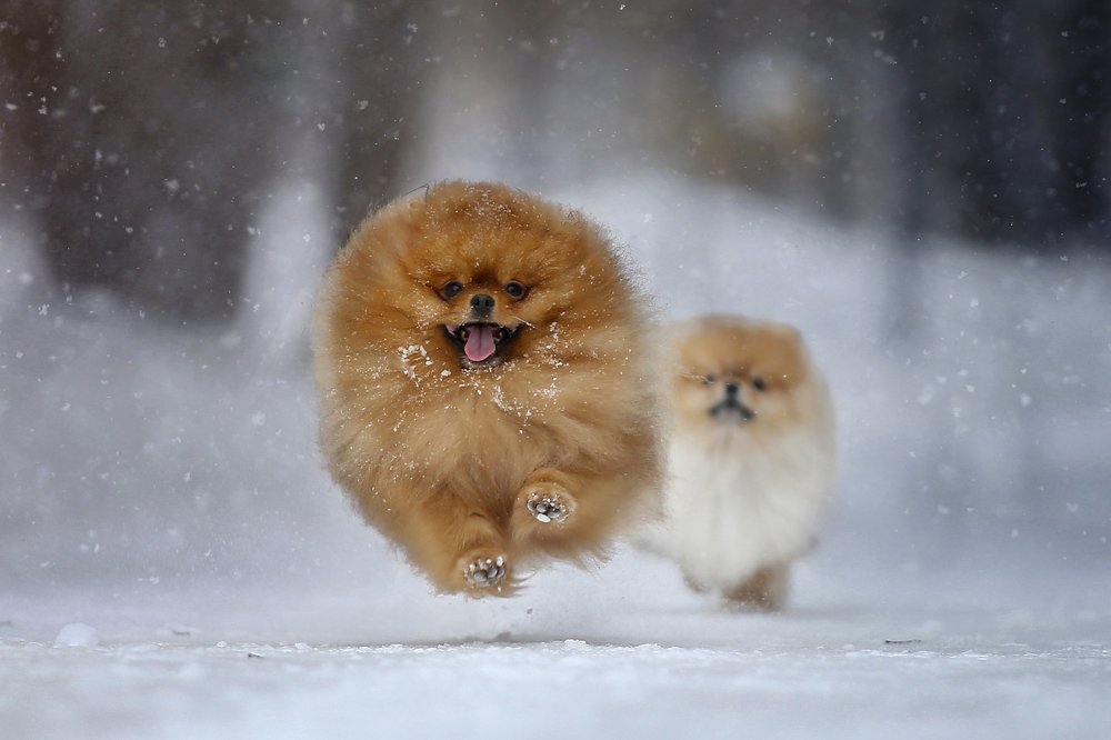 Photograph by Андрей Ершов