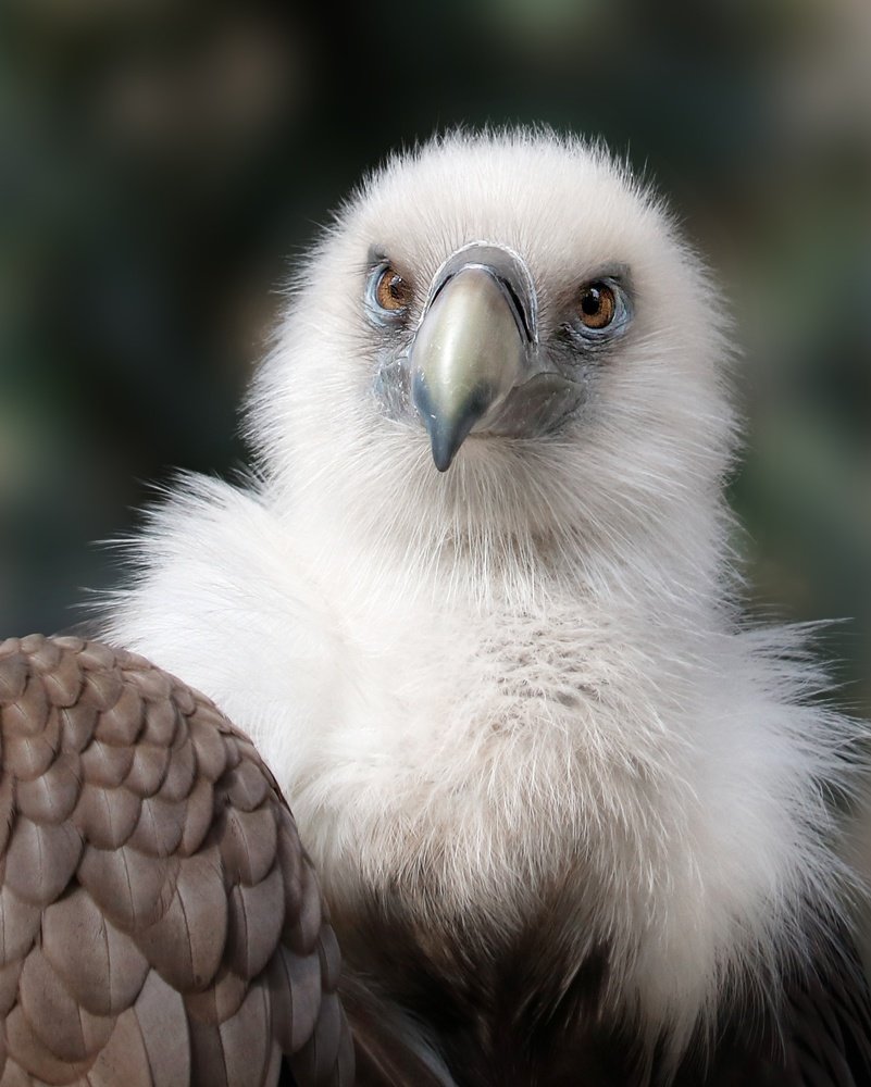 Photograph by Карина Азатян