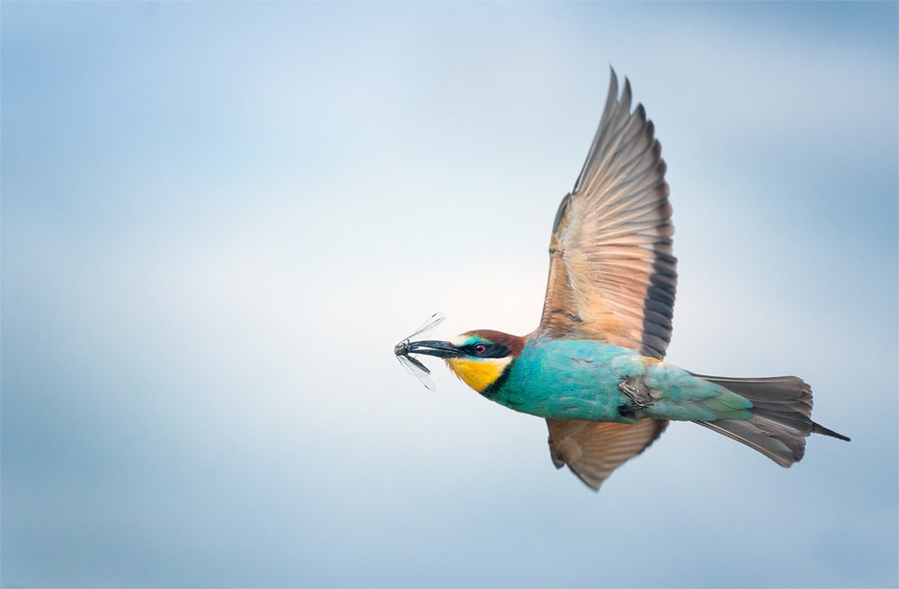 Photograph by Evgeny Burov