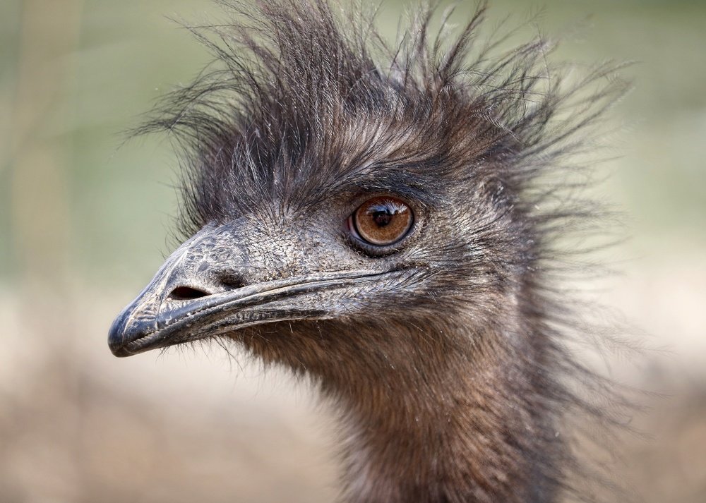 Photograph by Карина Азатян