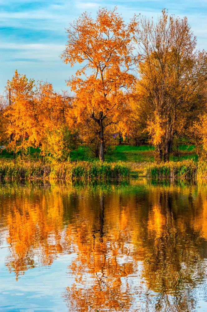 Фотография автора Oleg Podlesnykh