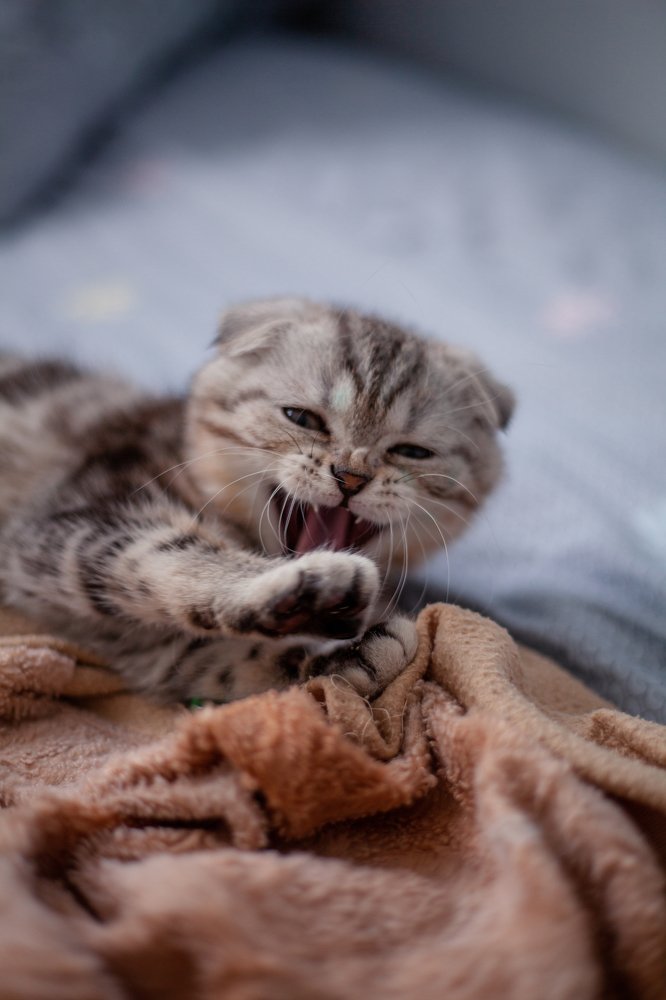 Photograph by Анна Лазарева