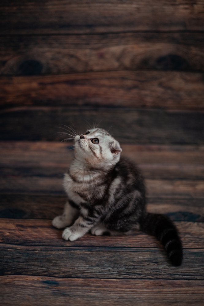 Photograph by Анна Лазарева