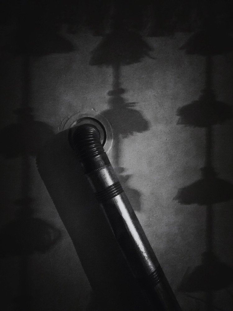 Photograph by Fatemeh(Banafsheh) Pishkhan