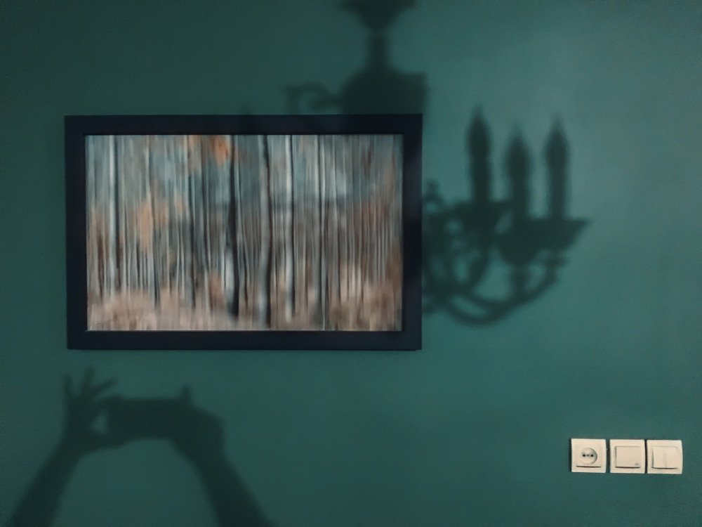 Photograph by Fatemeh(Banafsheh) Pishkhan