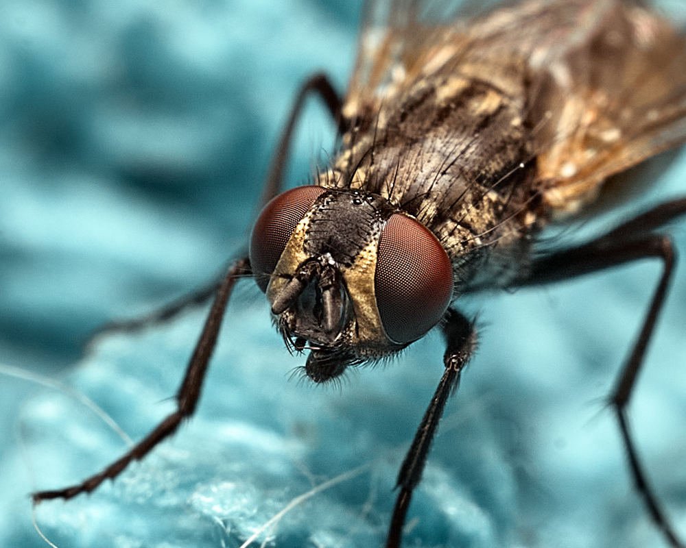 Photograph by Виктор Ноговицин