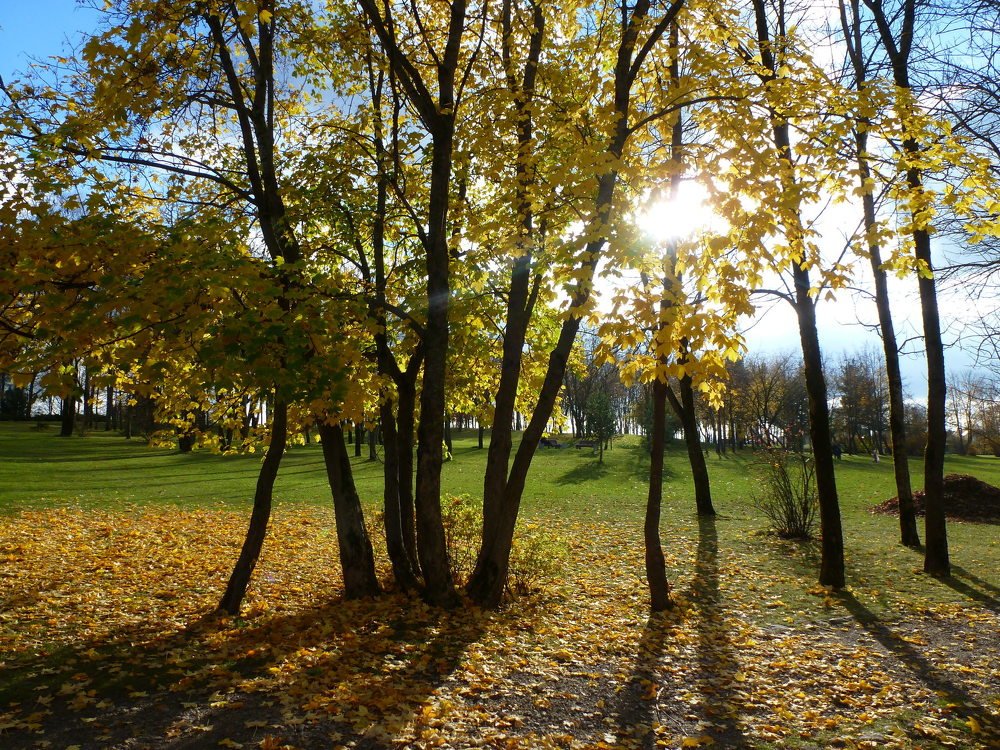 Photo #5274209