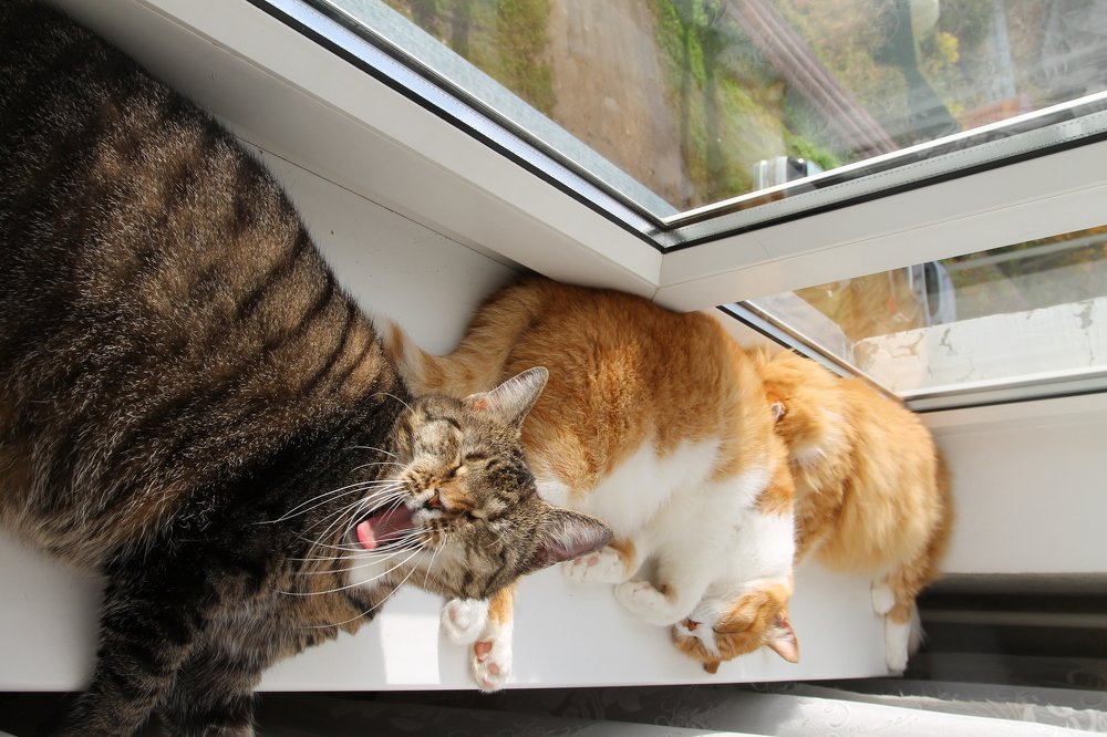 Photograph by Елена Врублевская