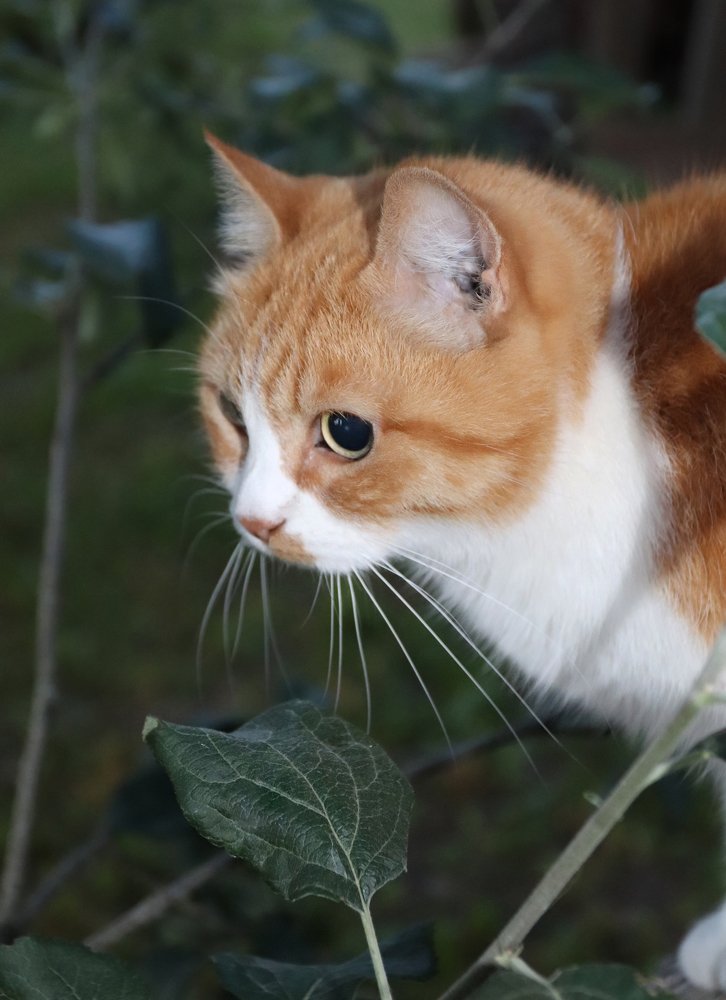 Photograph by Елена Врублевская