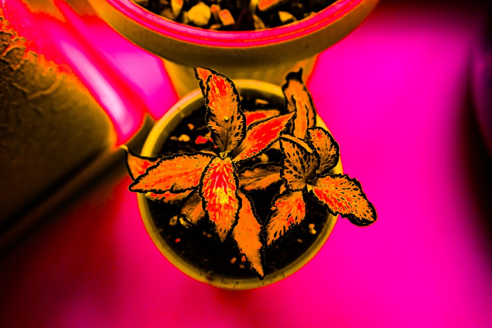 Photograph by Владимир Коротких