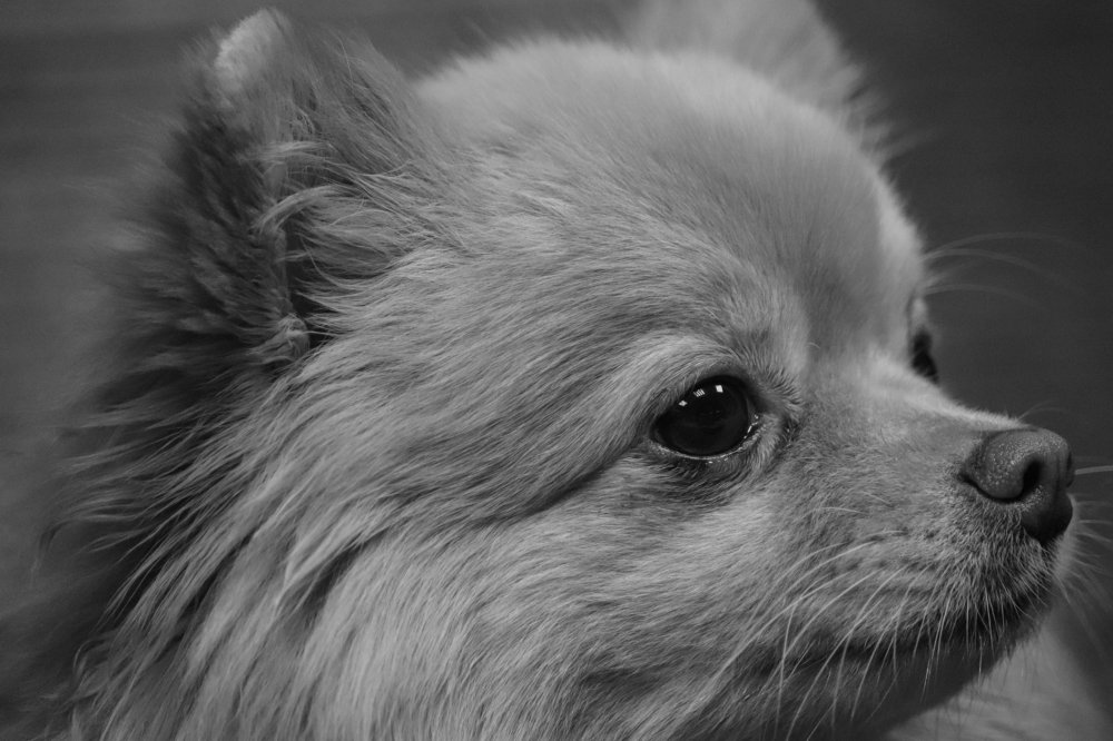 Photograph by Vladimir Fukalov