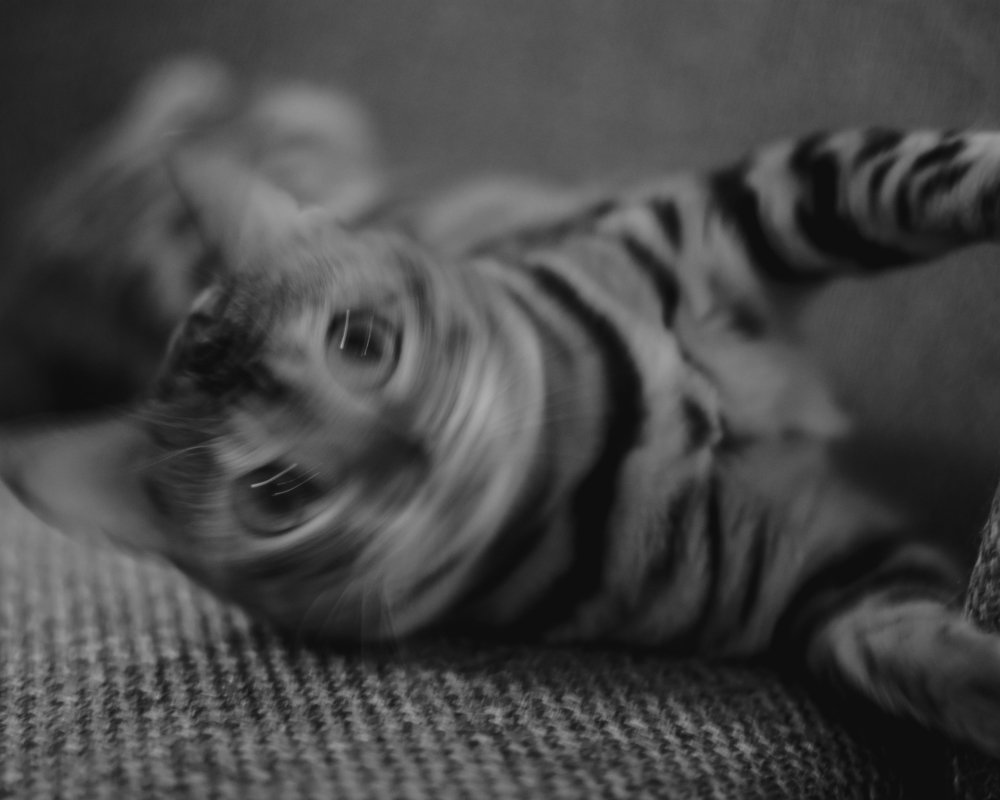 Photograph by Vladimir Fukalov