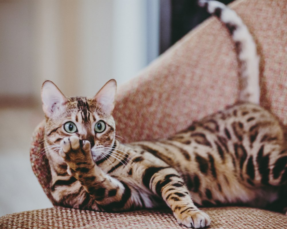 Photograph by Vladimir Fukalov