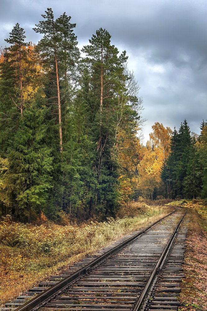 Photograph by Румянцев Алексей