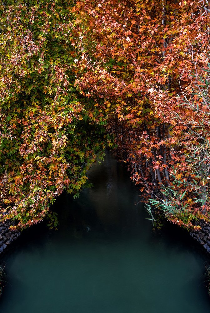 Photograph by Fatemeh(Banafsheh) Pishkhan