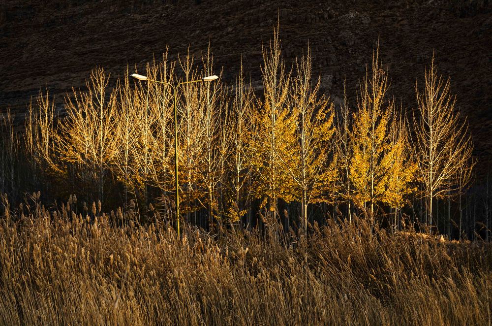 Photograph by Fatemeh(Banafsheh) Pishkhan