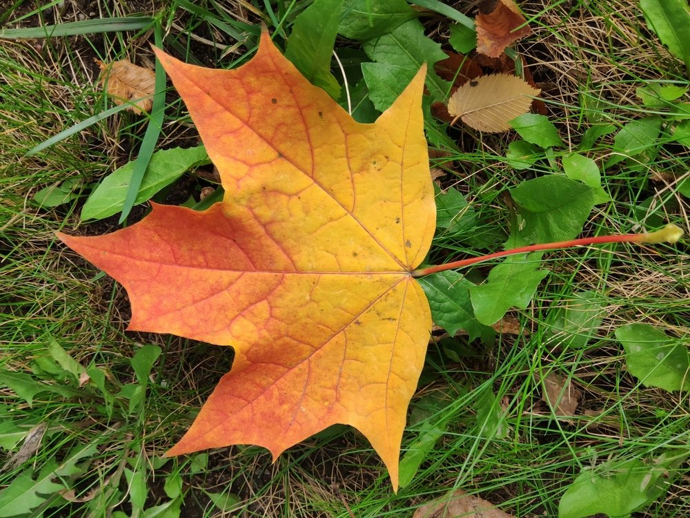 Photograph by Антон Корольков