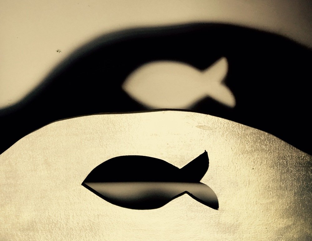 Photograph by Елена Ким