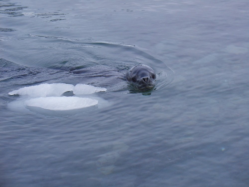 Photograph by Ivan Karavka