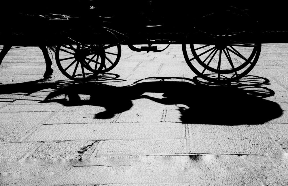 Photograph by Mahnaz Seif