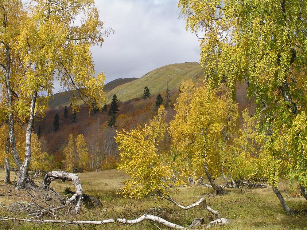 Photograph by Ирина Арканова