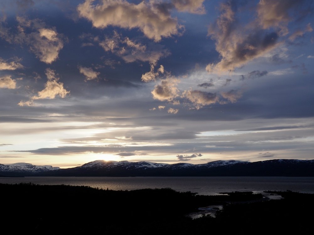 Photograph by Jarl Strömbom