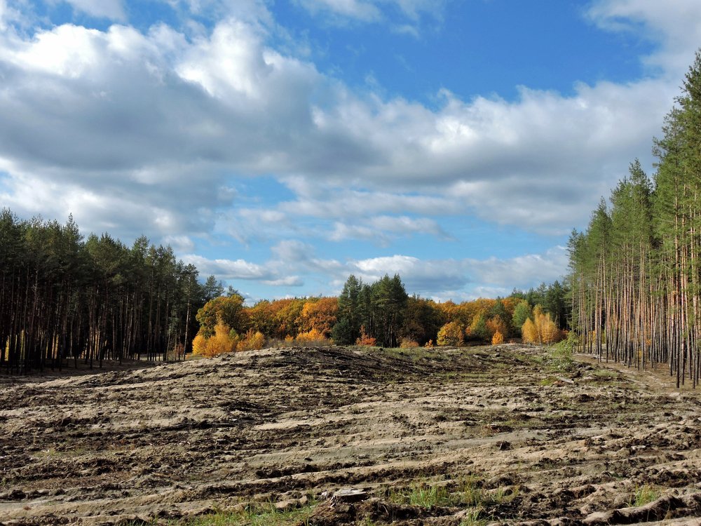 Photograph by Александр Захаров