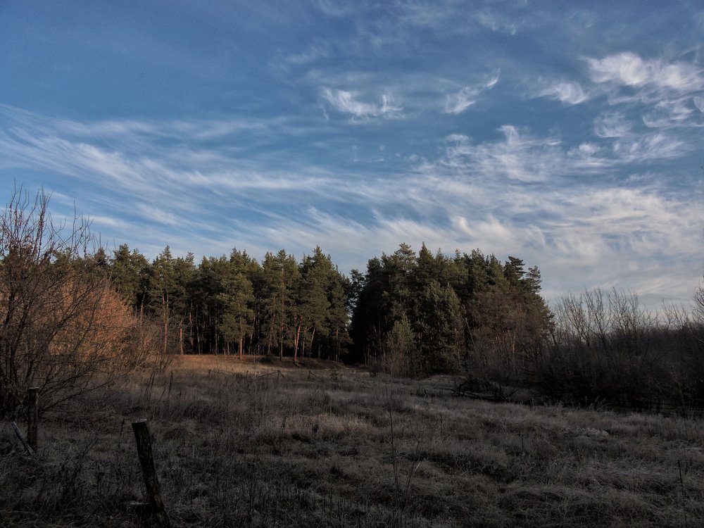 Photograph by Александр Захаров