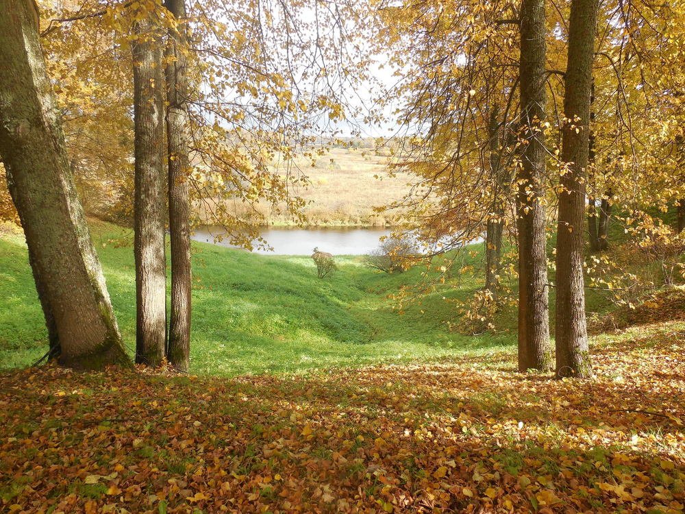 Осень в Михайловском.