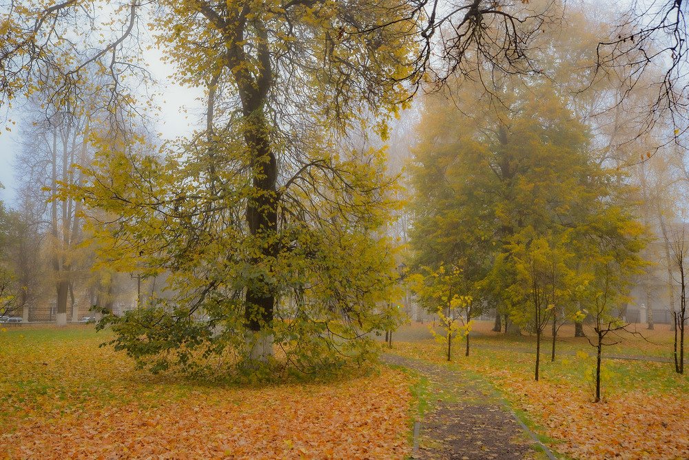 Photograph by Эдуард Шадров