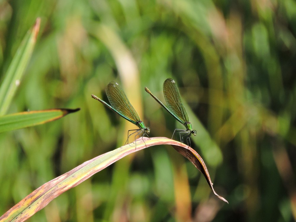 Photograph by Александр Захаров