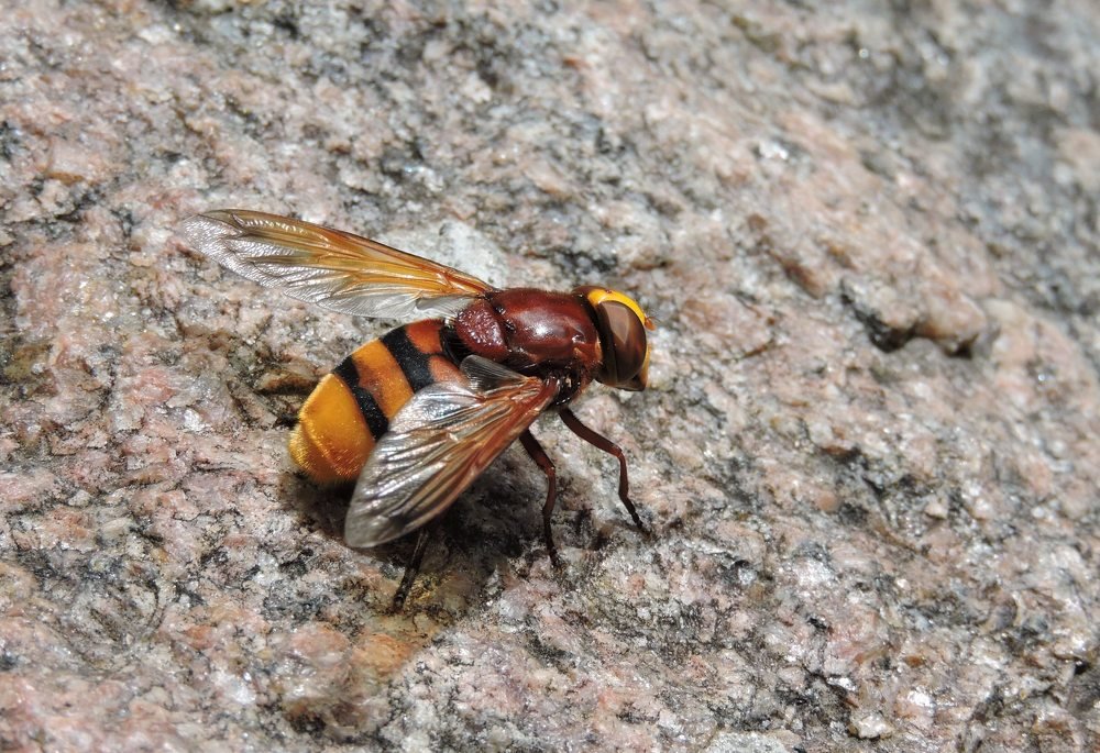 Photograph by Александр Захаров