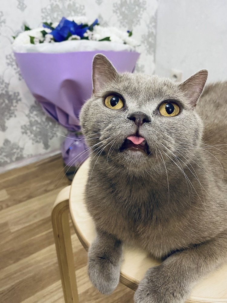 Photograph by Юлия