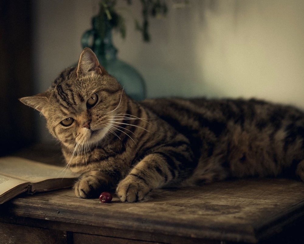 Photograph by Iryna Matvieienko