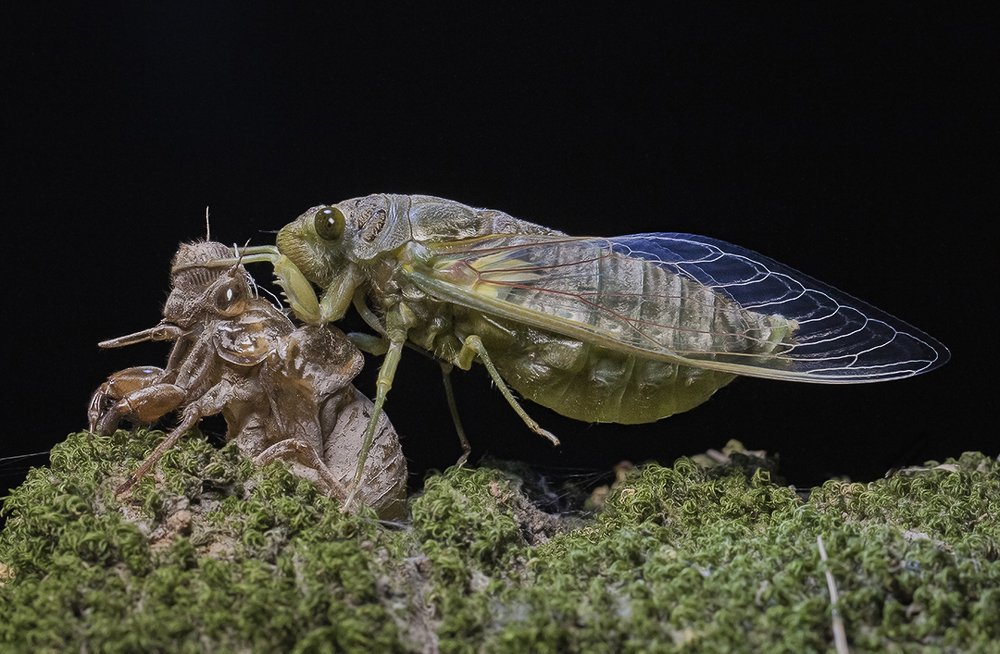 Photograph by Eduardo Di Fiore