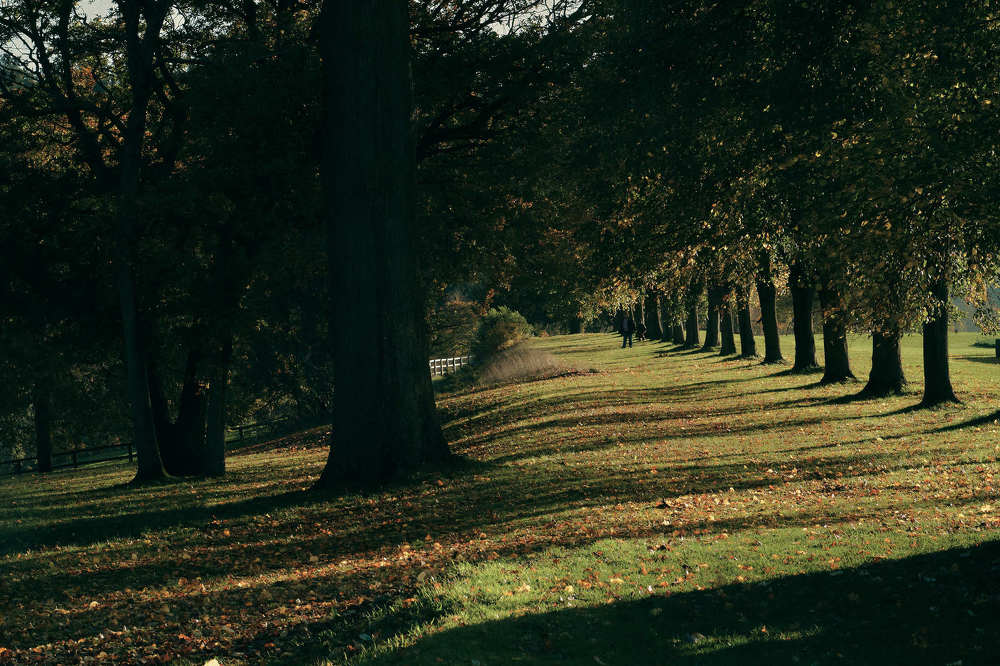 Фотография автора Yulia Dobrynina