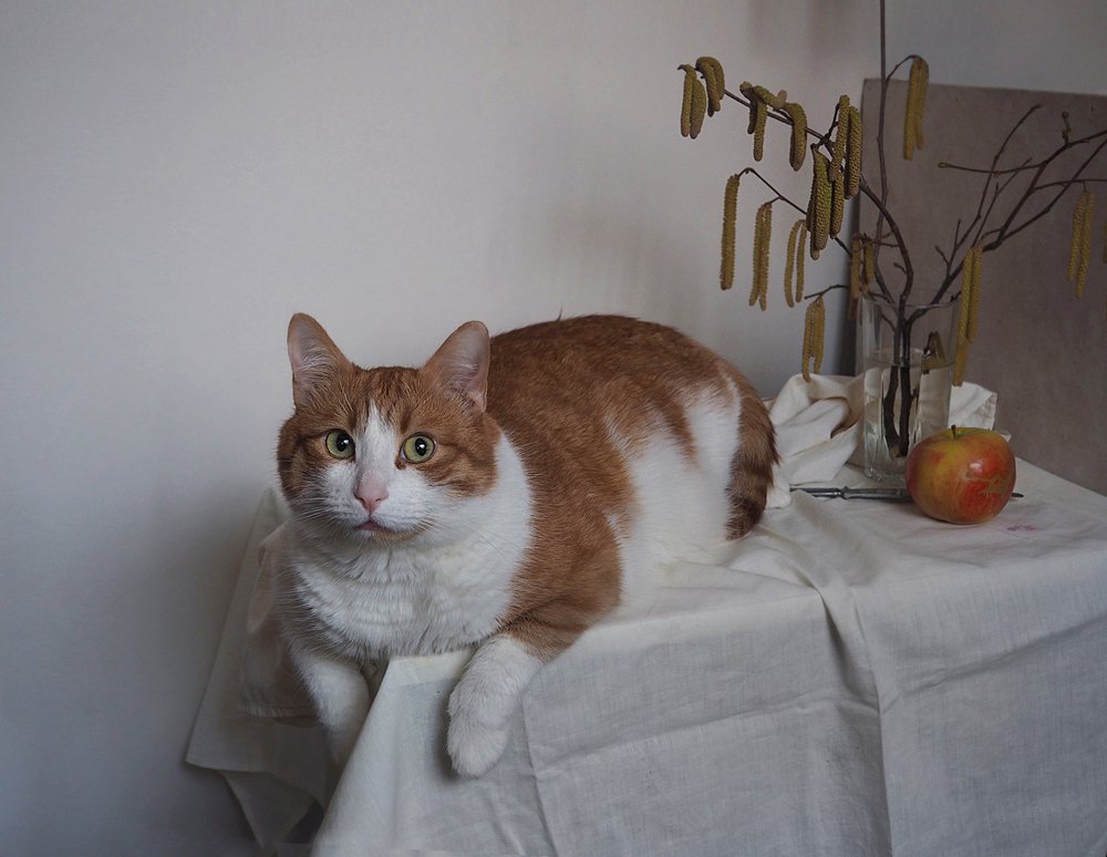 Фотография автора Vera Eremeeva