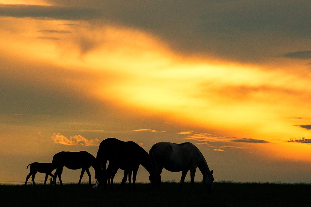 Photograph by Giancarlo Cornoló