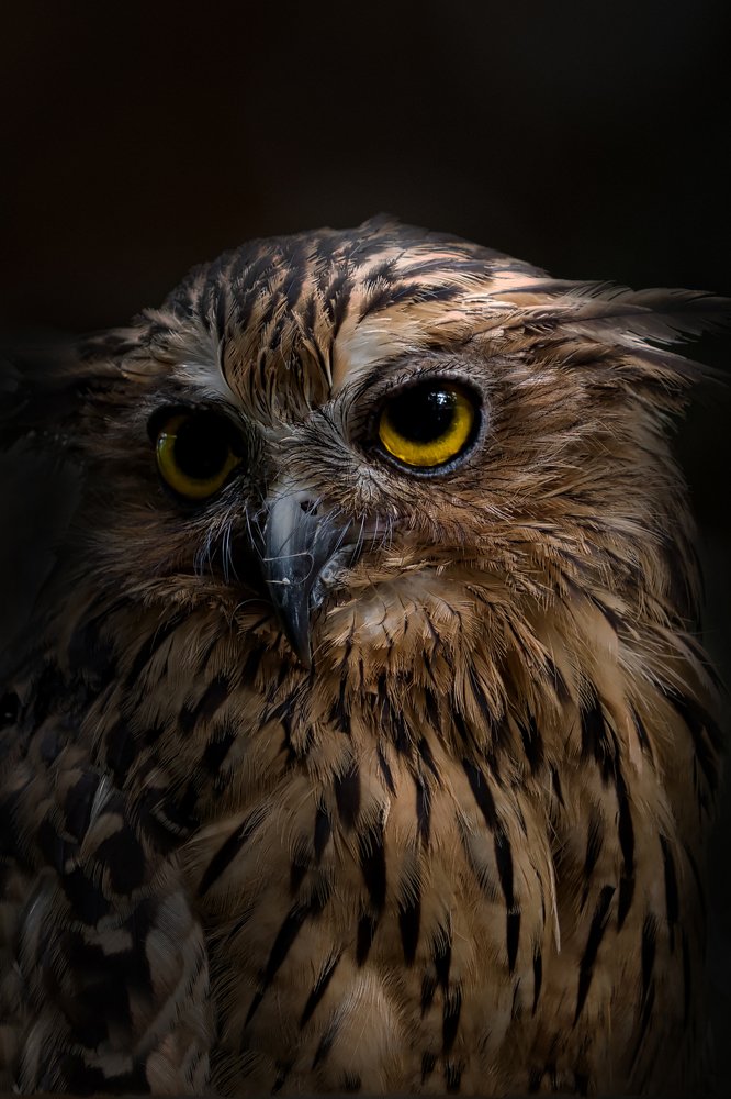 Photograph by Eka Novianto Nugroho