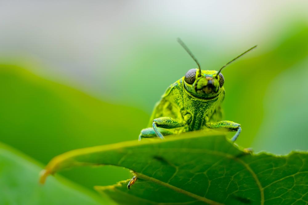 Photograph by Richard Aaron San Lorenzo