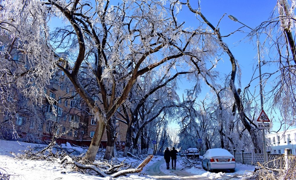 Такая погода !