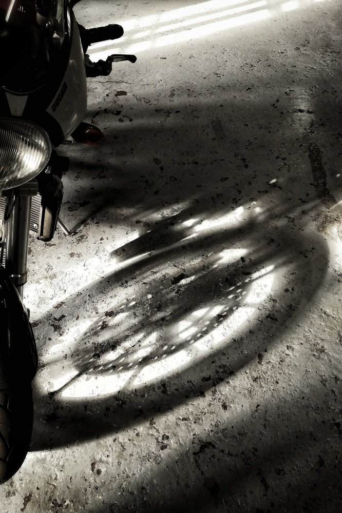 Photograph by Maria Chistova (Pasternak)