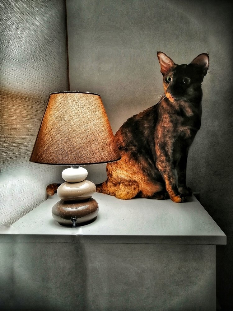 Photograph by Maria Chistova (Pasternak)