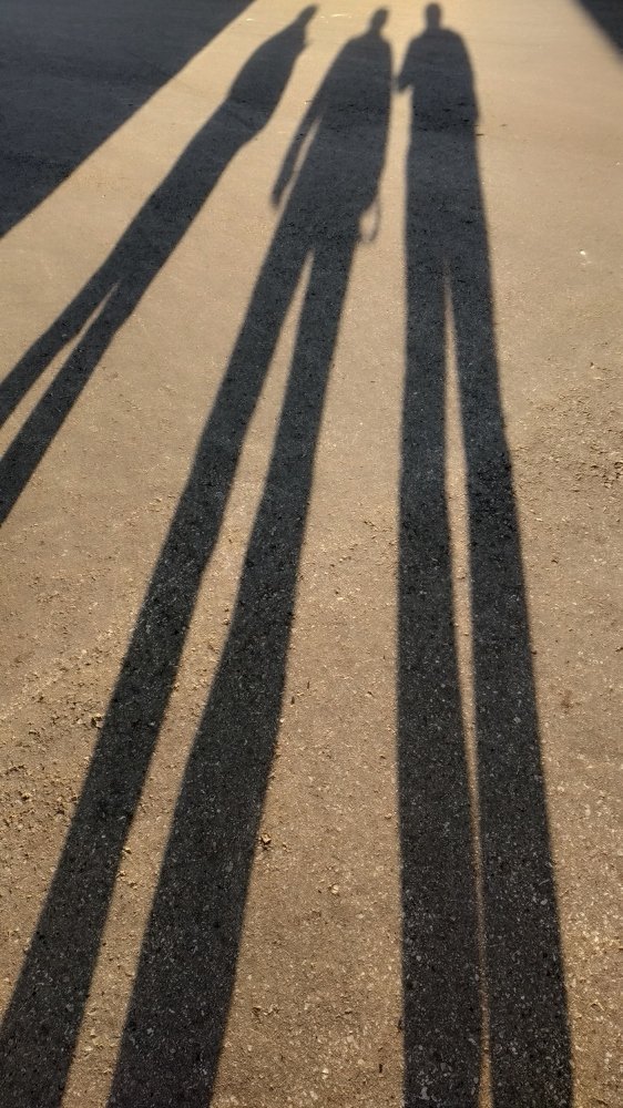 Photograph by Артем Логинов