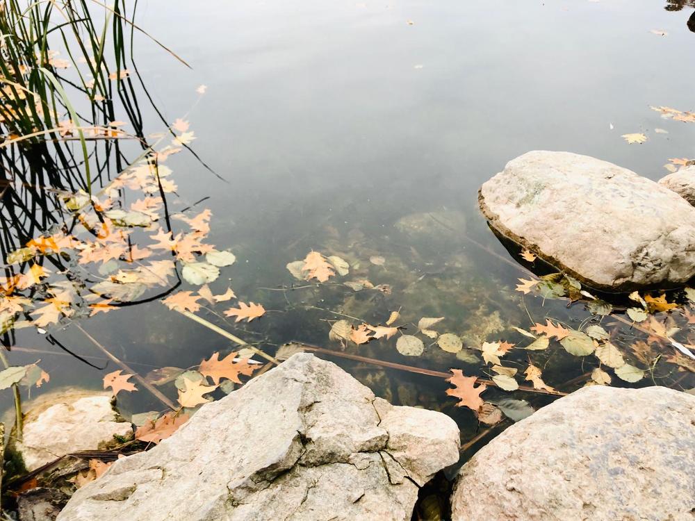 Photograph by Татьяна