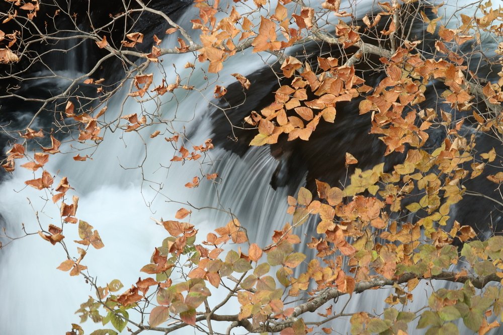 Photograph by Se Lena