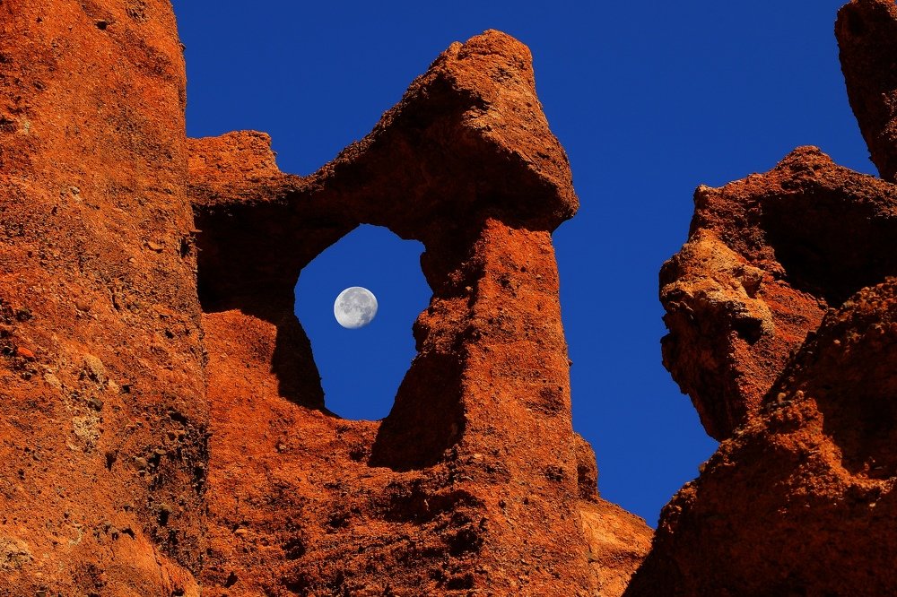 Satellite of the red planet.