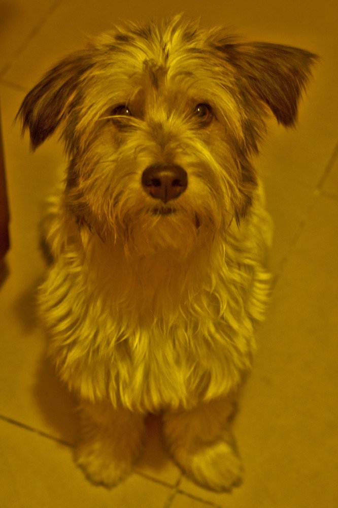 Photograph by Lidia Losada Campaña