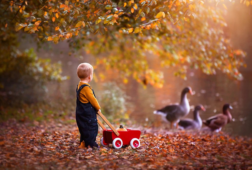 Photograph by Matthiola Photography