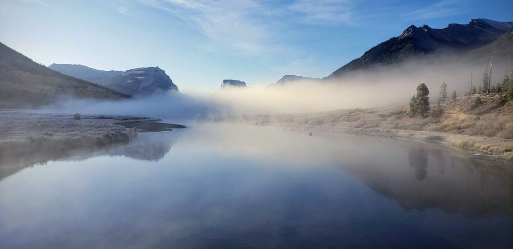 Photo #5275489